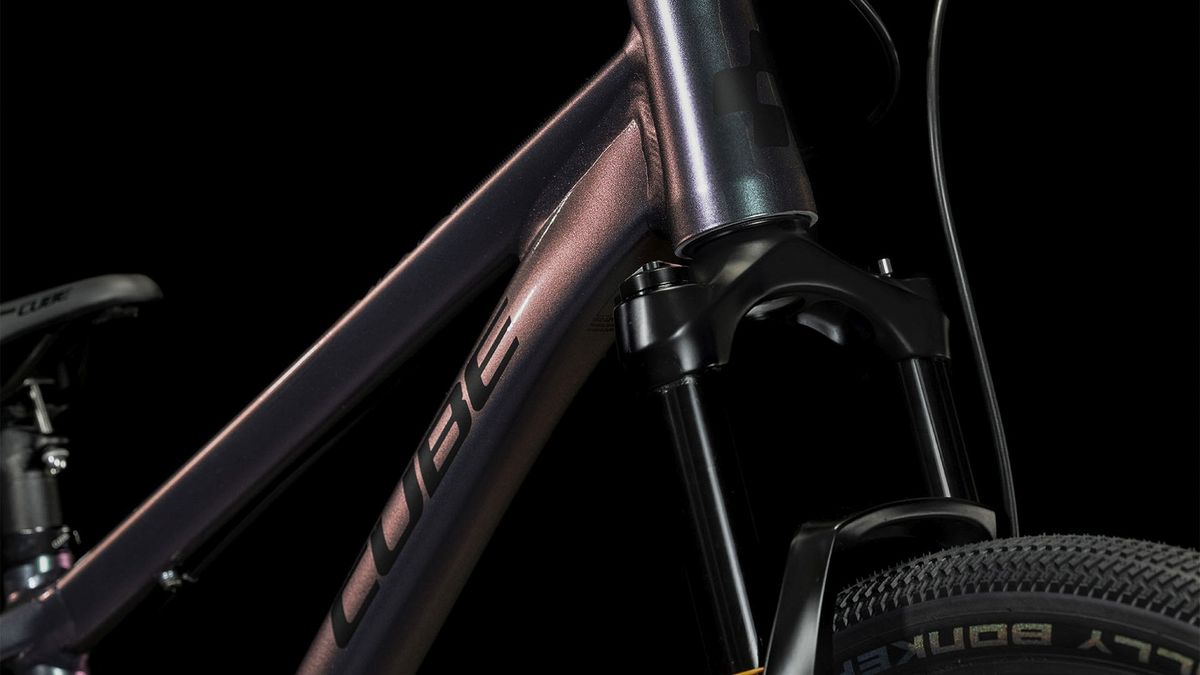 cube flying circus dirt bike