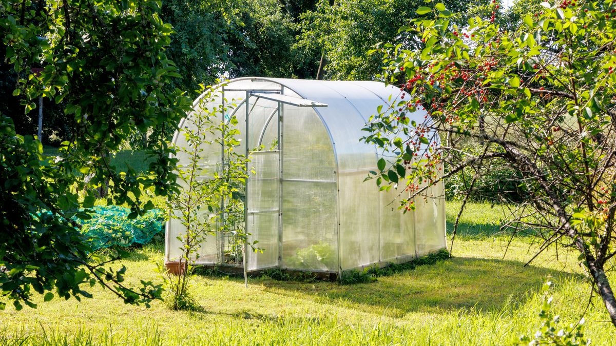 6 Budget-Friendly Greenhouses to Build Now Before the First Frost – to Keep Growing Your Favorite Plants for Longer