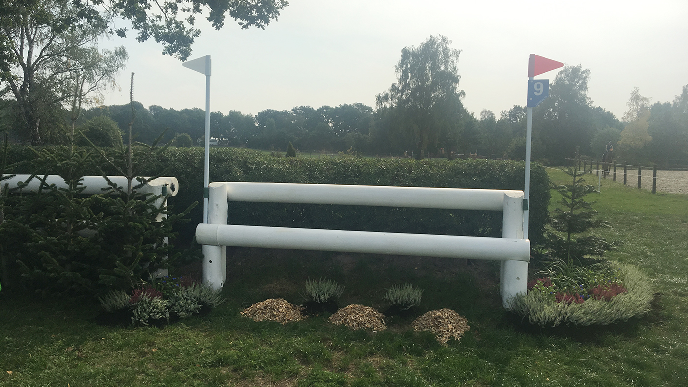 Fence 9 European Eventing Championships 2019