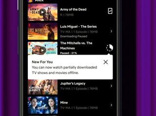 Netflix Partially Download Shows