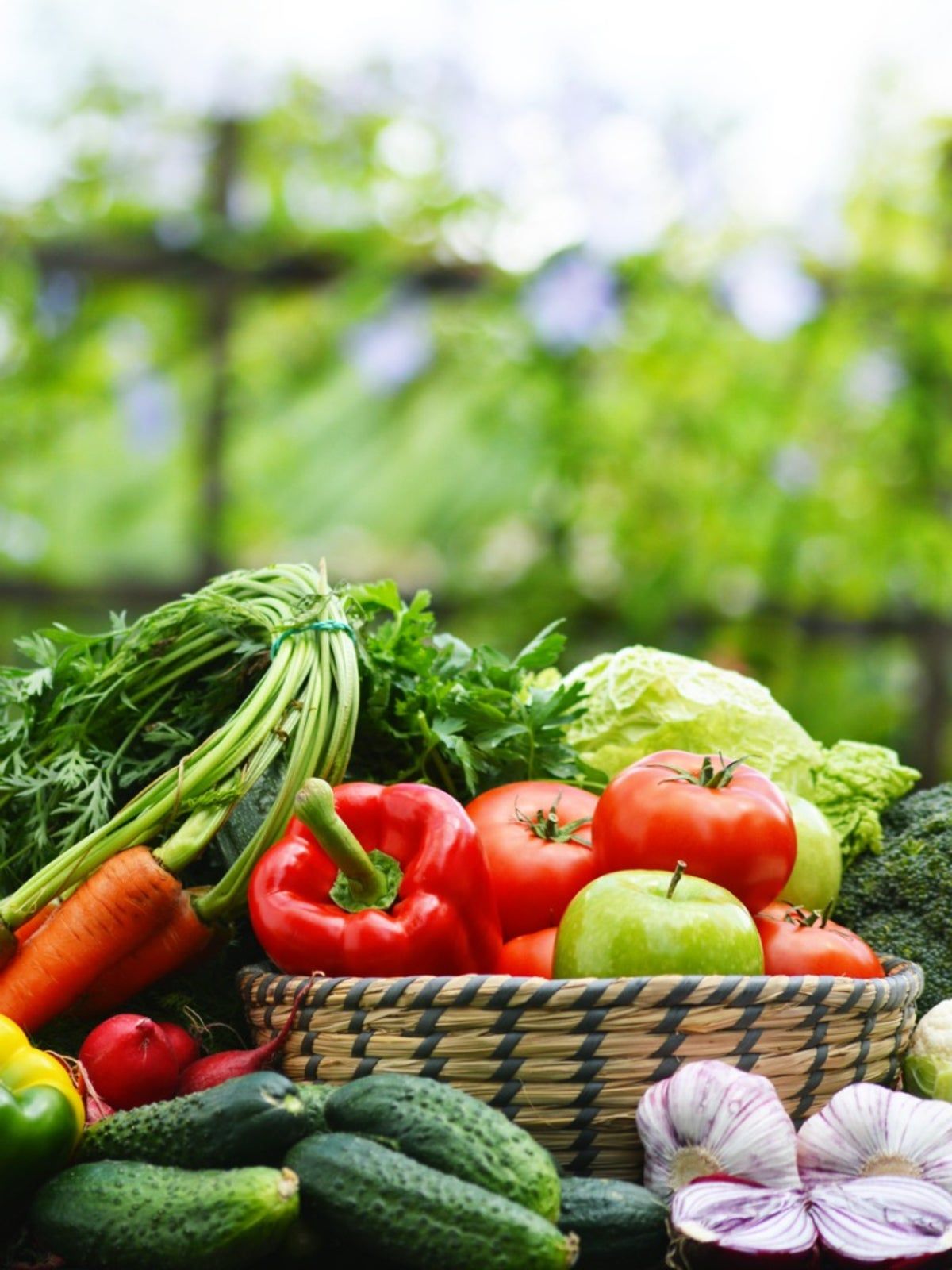 Fresh Summer Harvest Of Vegetables From The Garden