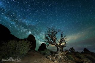 Milky Way Rising Over Arches National Park, Utah
