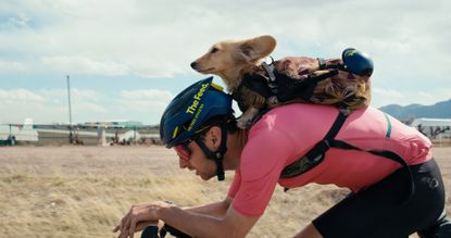 Bike shop dog backpack