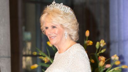Camilla, Duchess of Cornwall attends a dinner hosted by Queen Beatrix of The Netherlands ahead of her abdication at Rijksmuseum on April 29, 2013 in Amsterdam, Netherlands. 