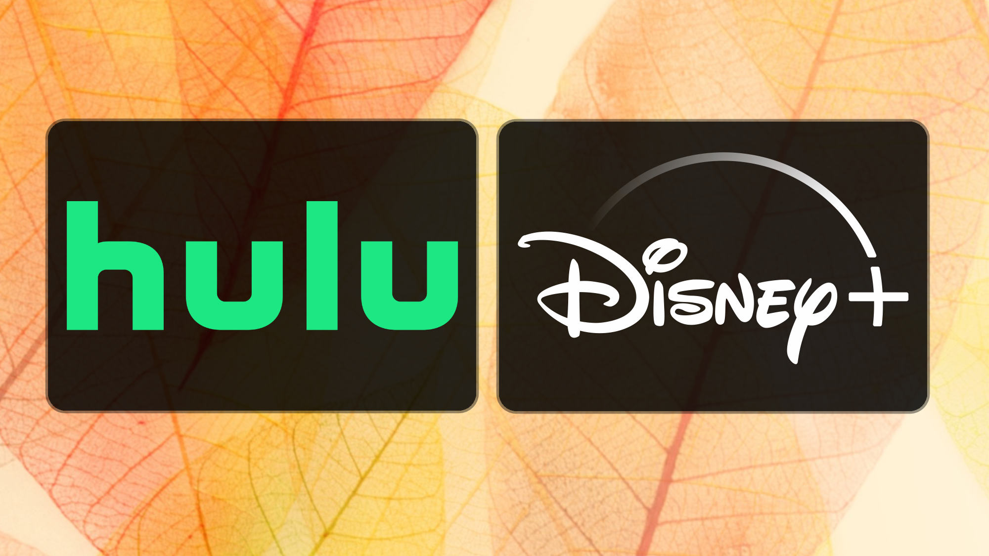 Hulu and Disney+ logos on a fall leaves background