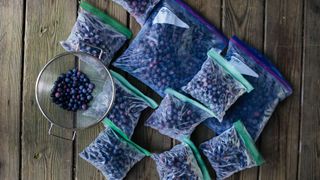 How to organize a chest freezer: image of blueberries for freezing