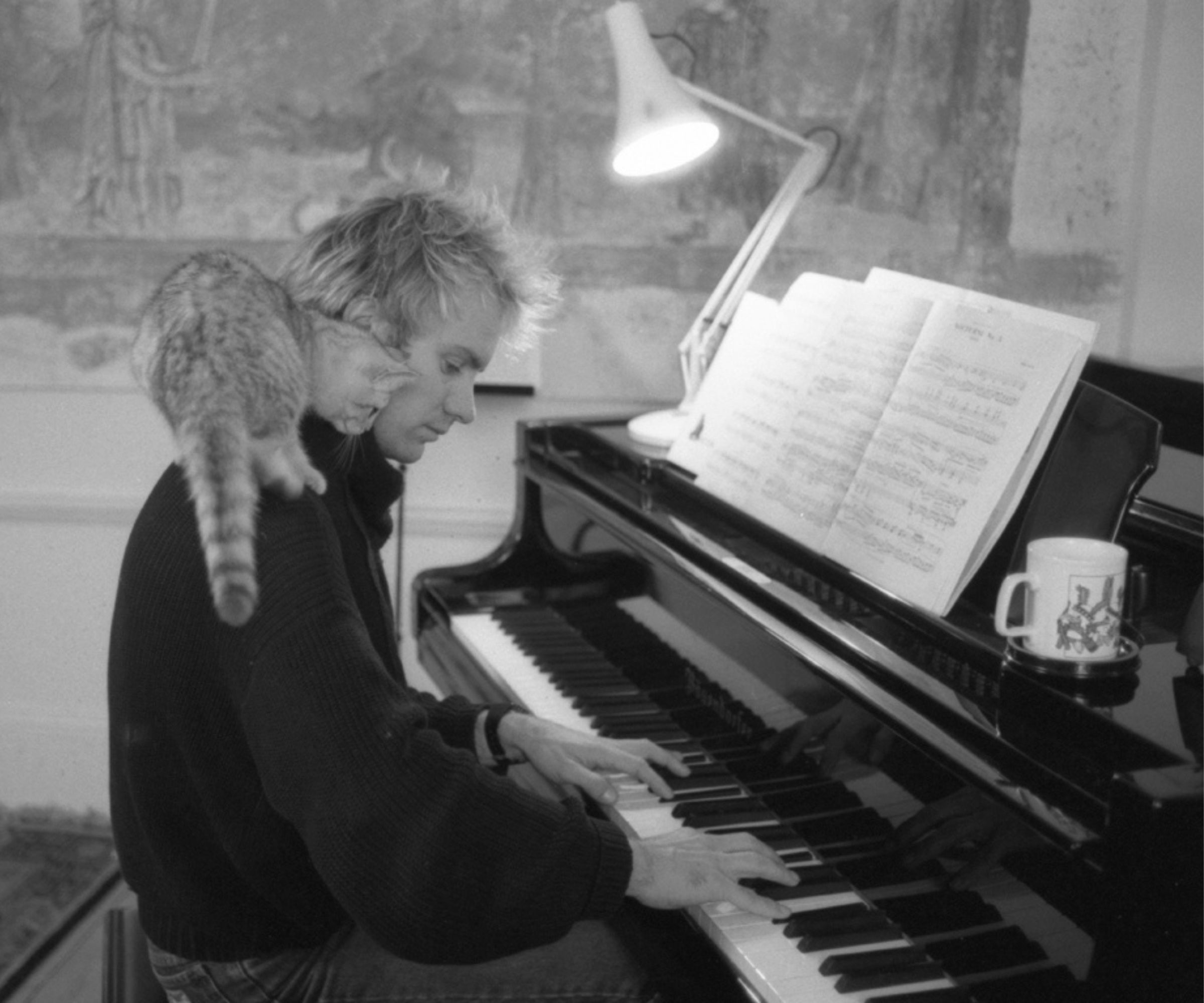 Sting's home