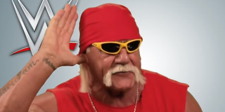 Hulk Hogan WWE