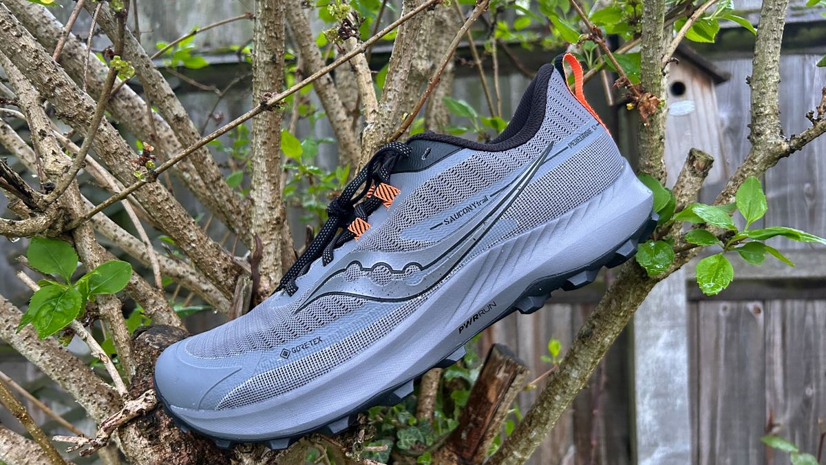 Saucony Women's Peregrine 13 GTX Shoe main image 0