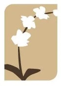 Westerlay Orchids