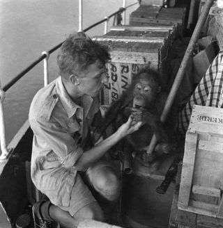 David Attenborough in the 1950s - from The Zoo Quest Expeditions