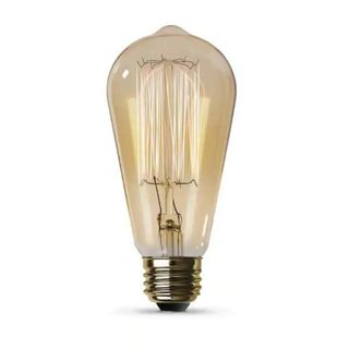 Vintage Edison Bulb against a white background.