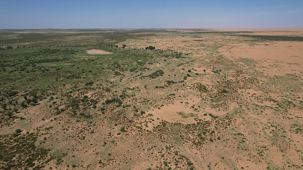 Aerial view of the edge of China's Kubuqi Desert where a large-scale tree planting effort is slowing desertification.