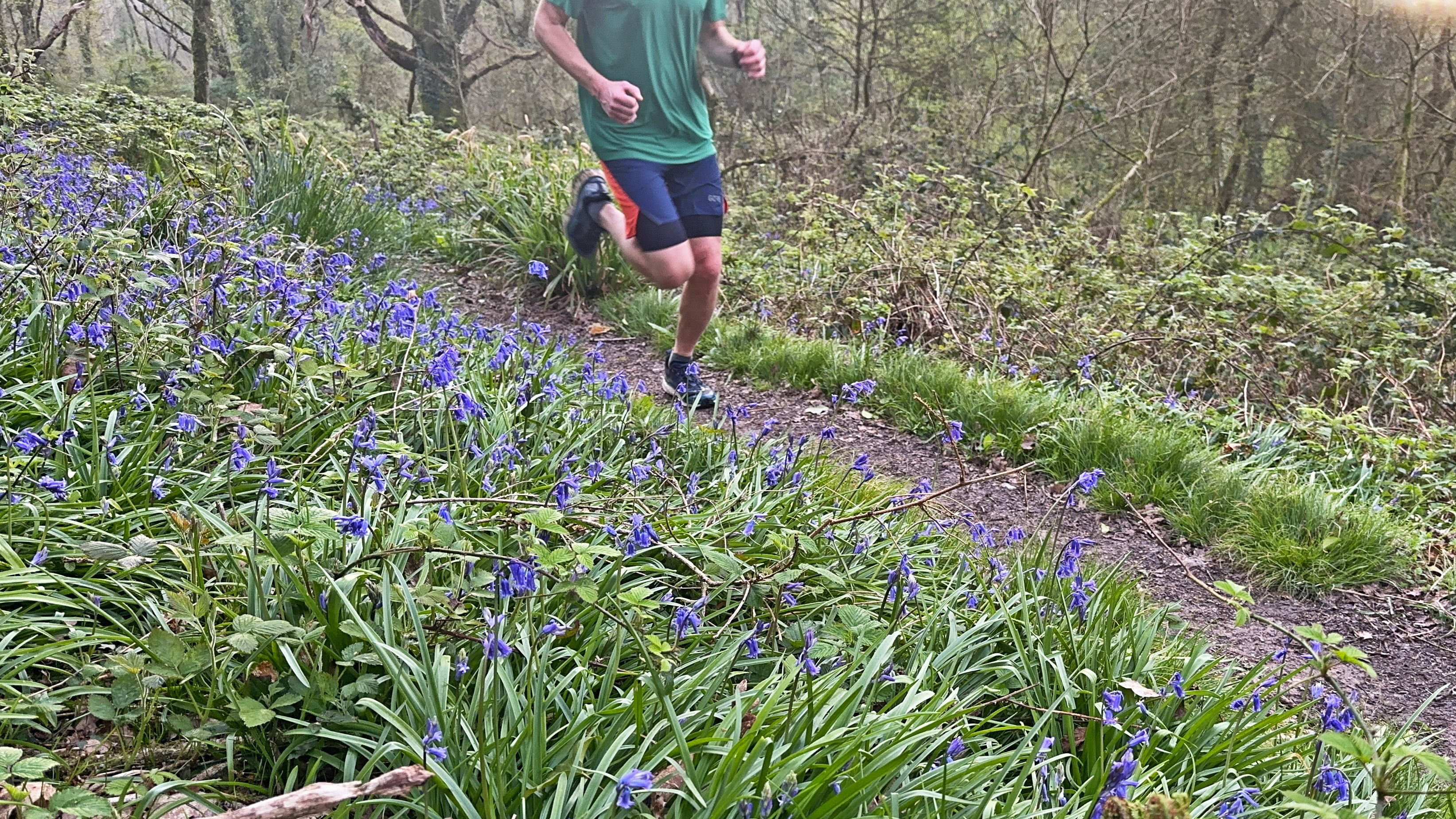 Runner going along woodland trails in the Lowa Skyterra