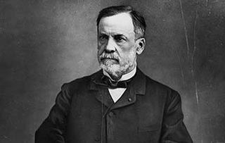 Louis pasteur