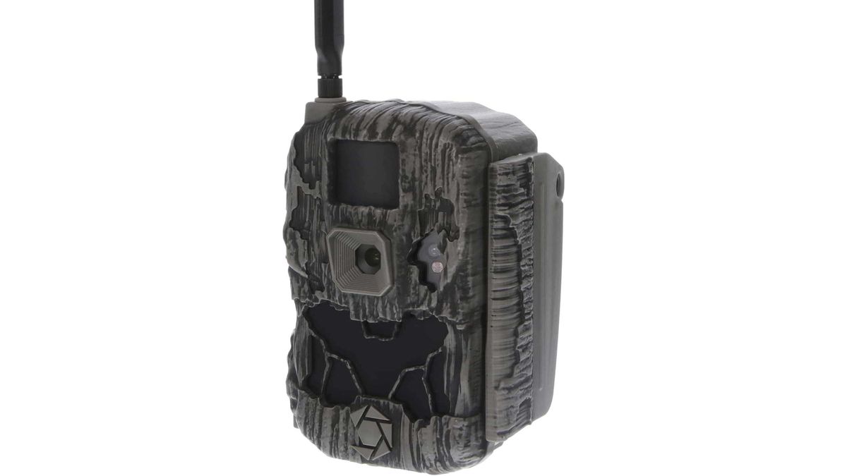 Best cellular trail cameras in 2024 | Digital Camera World