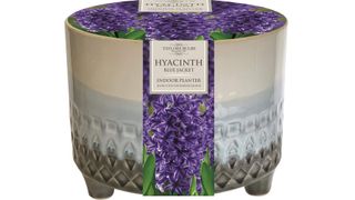 Indoor Hyacinth Bowl Planter and Bulb Gift Set