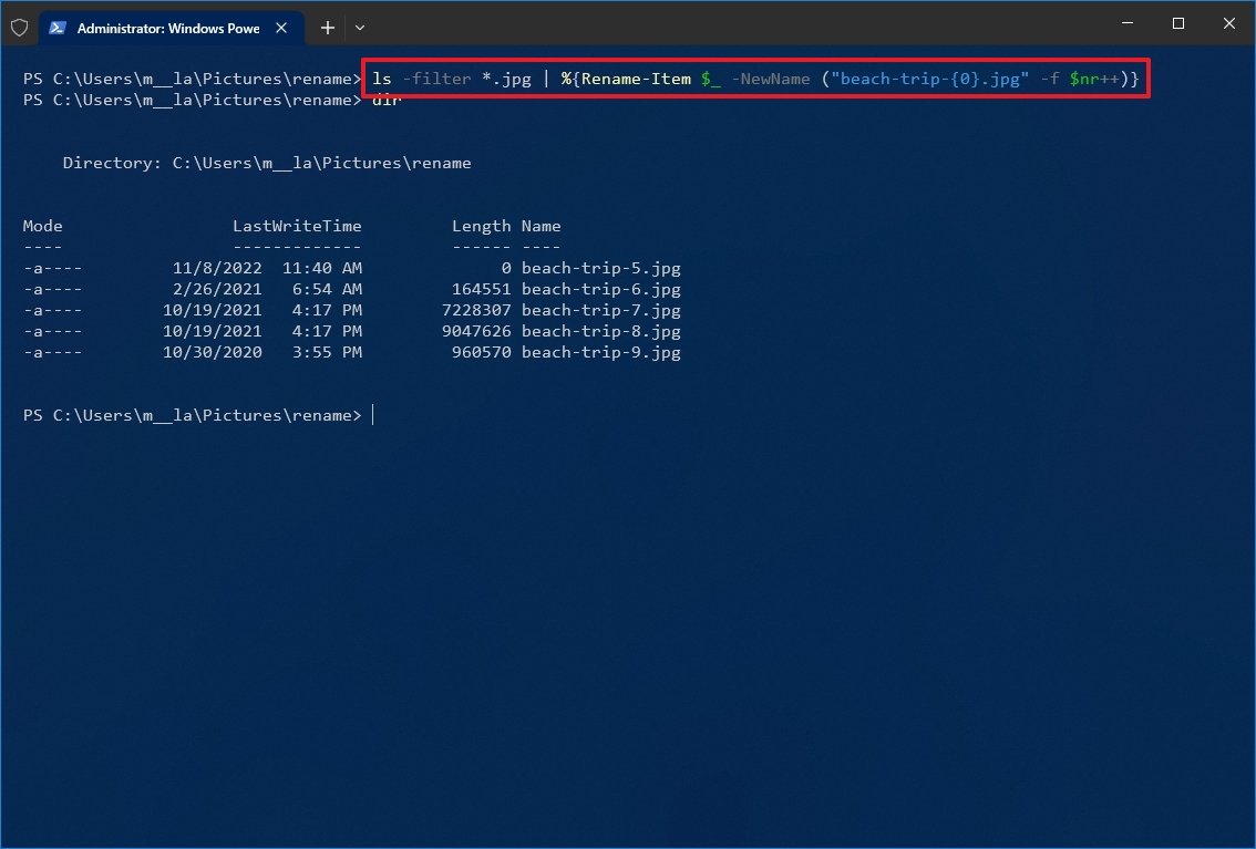 PowerShell only rename specific extension files