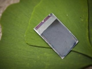Fuel From Leaves