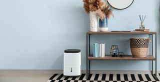 meaco dehumidifier in blue hallway next to console table with vase of pampas grasses