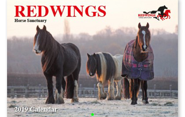 Redwings - Calender