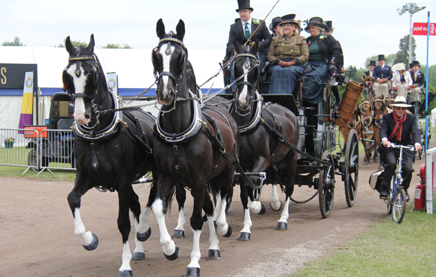 9 Carriage driving