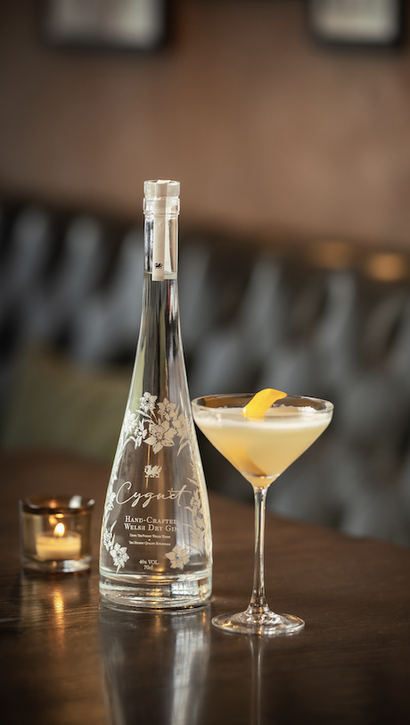 Katherine Jenkins launches Cygnet Gin - ShortList taste tests with the classical star