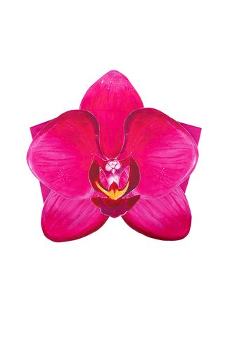 Tyler McGillivary Orchid Top