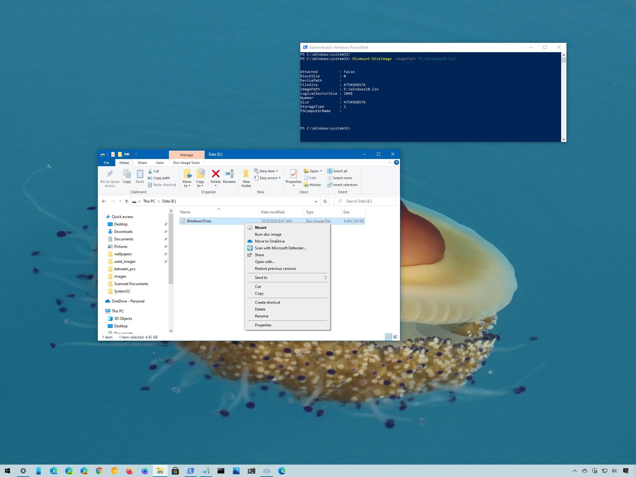 Windows 10 Iso Image JWord 