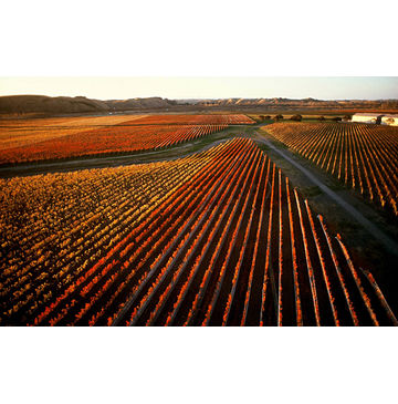 New Zealand Hawkes Bay