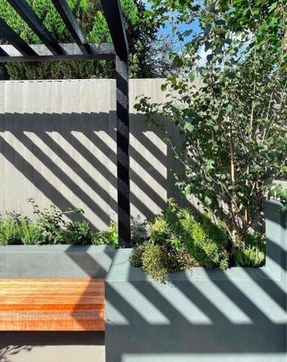 Small backyard with light grey fence
