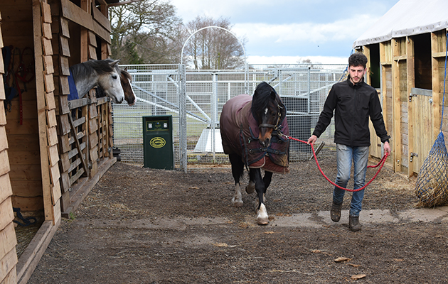 Zak Vaughan-Jones bring another pony off the walker at Sarah &amp;amp; Simon Parker's yard at Glebe Farm in Bronington near Whitcurch in Shropshire, UK on the 1st March 2016