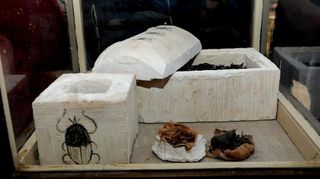 cat statues, scarab mummies
