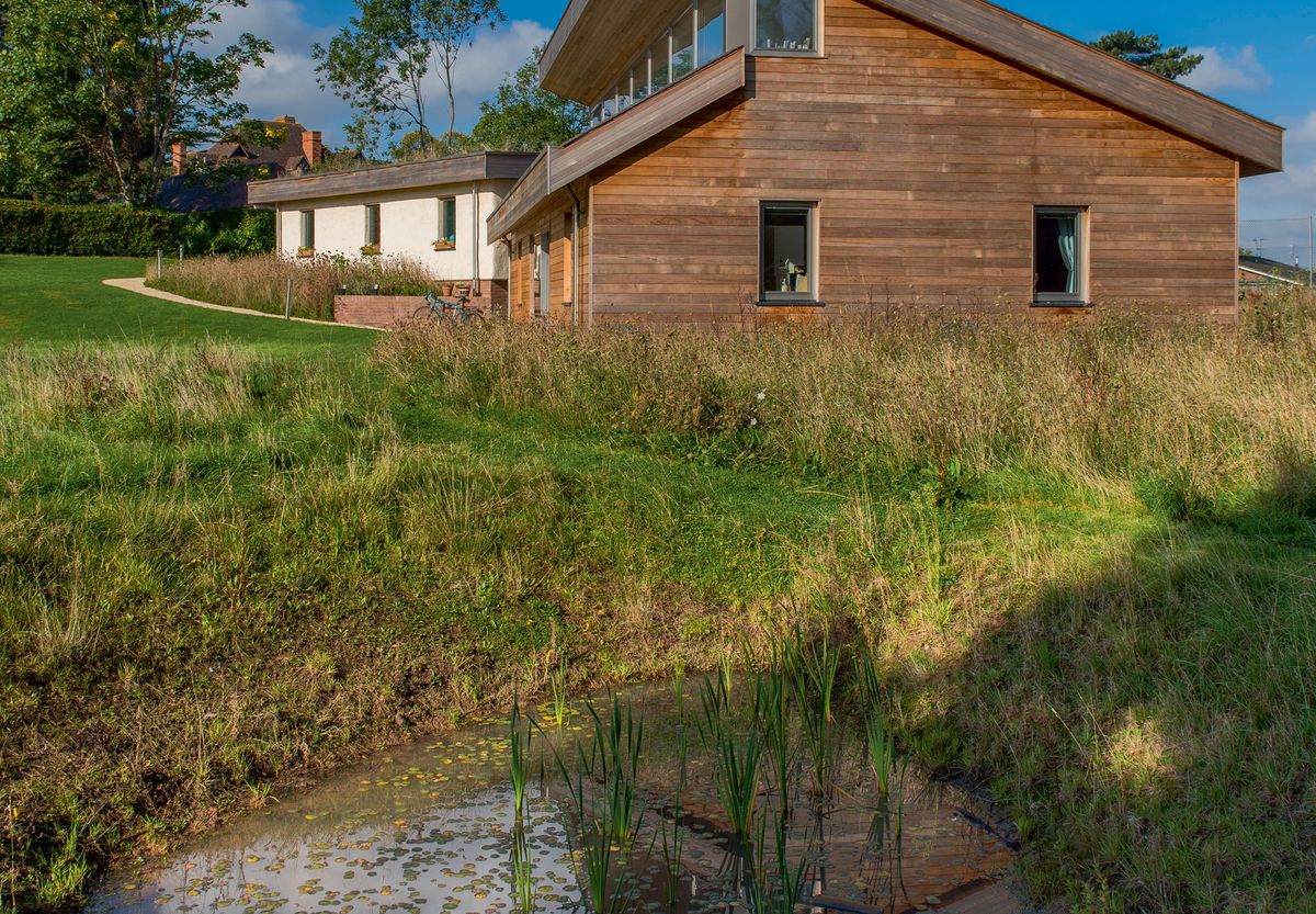 a garden with a pond to provide extra habitats for wildlife