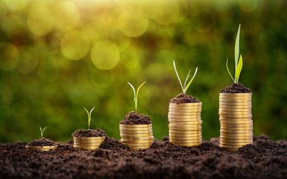 Investment concept, rising coins chart with growing plants over defocused nature background