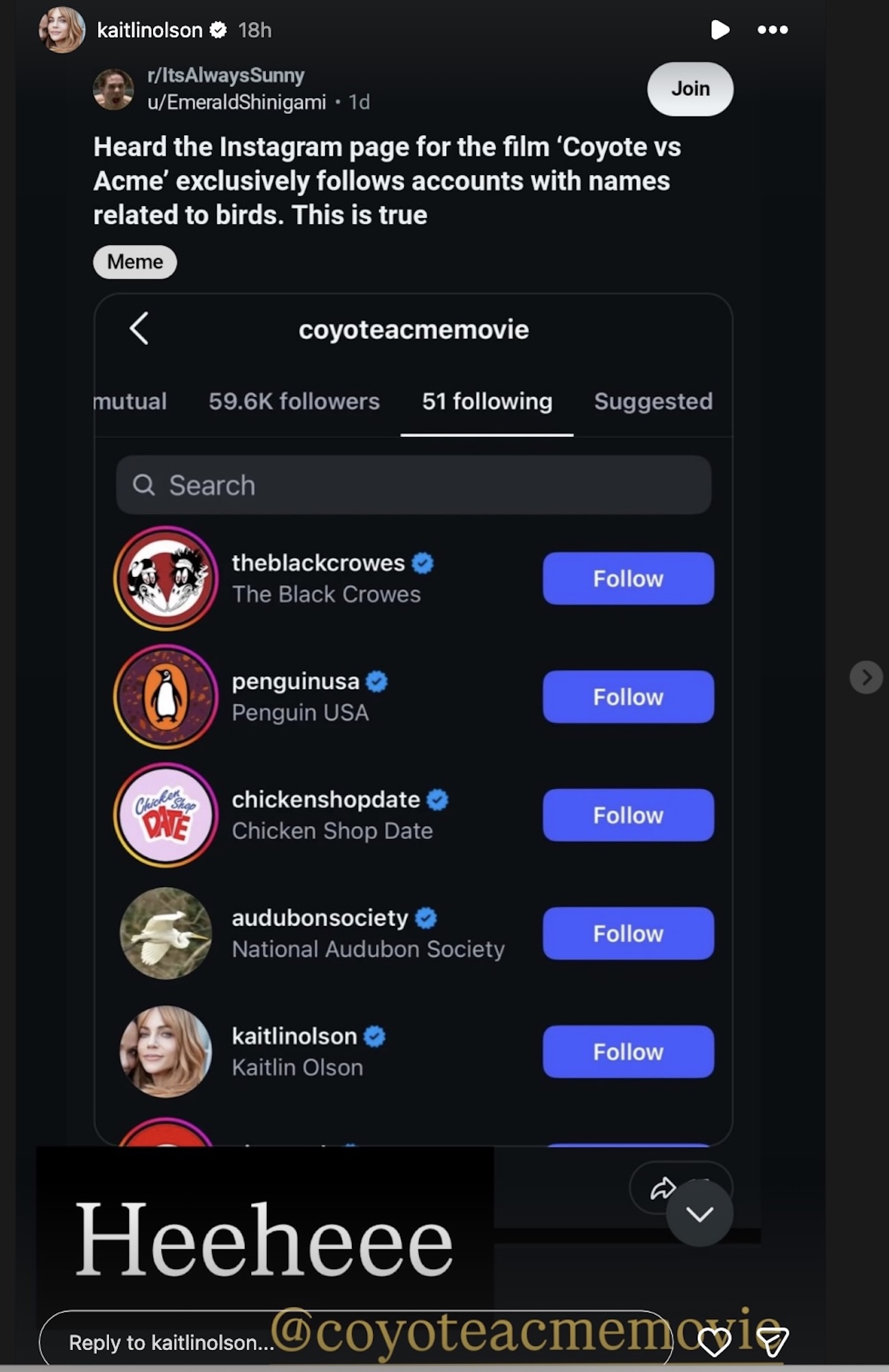 Kaitlin Olson Instagram stories post about the actress being followed by Coyote Vs. Acme page, which only follows accounts with names related to birds.
