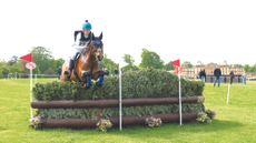 A bay horse clears a large BE100 brush fence on the LeMieux Grassroots course with Badminton House in the background.