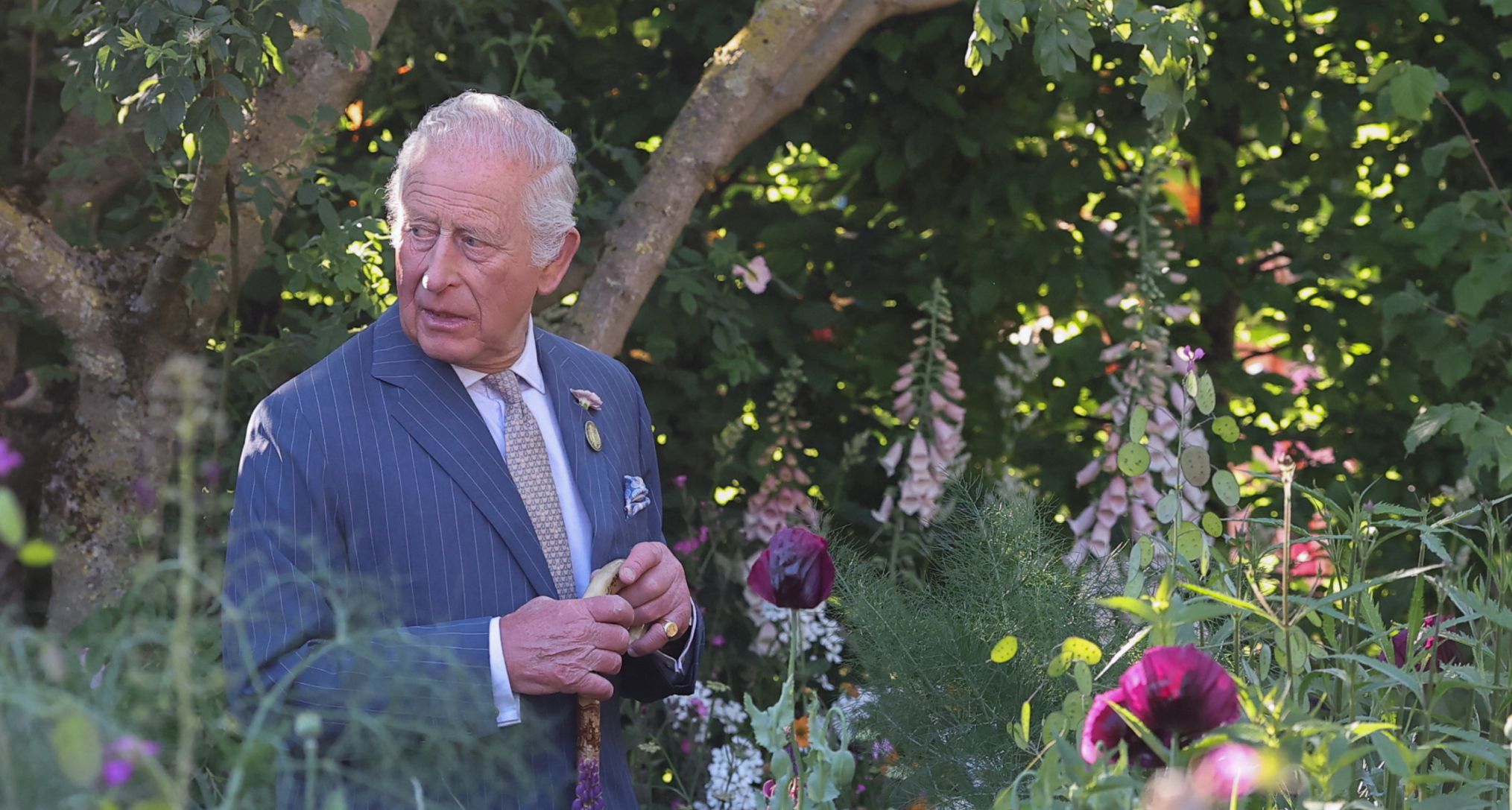 King Charles Likes to "Have a Strong Word" When This Activity Isn't Going "Well," Per Insider