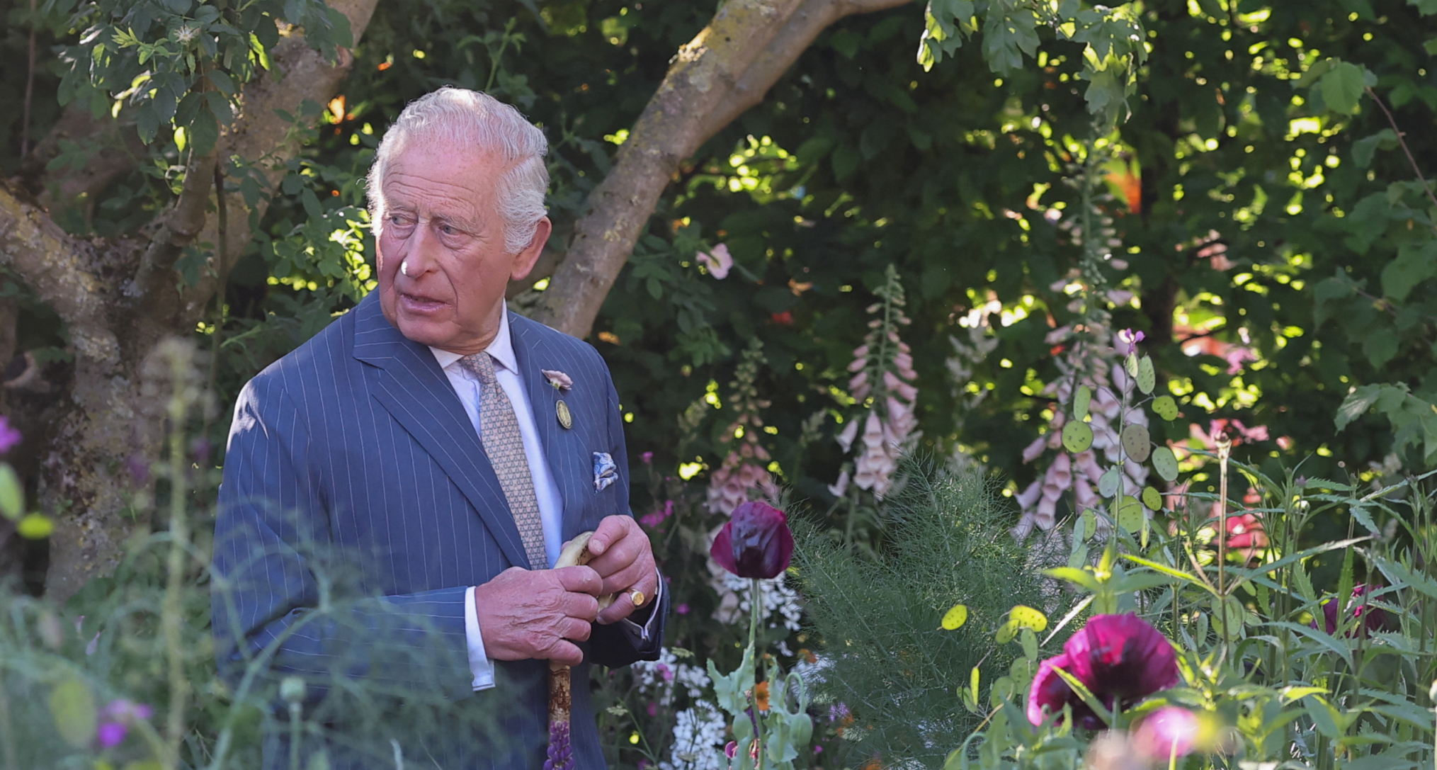 King Charles standing in a field of flowers wearing a suit