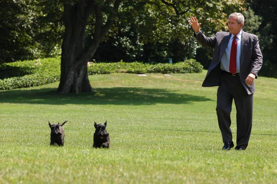 George W. Bush announces former &amp;#039;First Dog&amp;#039; Miss Beazley has died