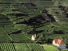 Nieder&Atilde;&para;sterreich