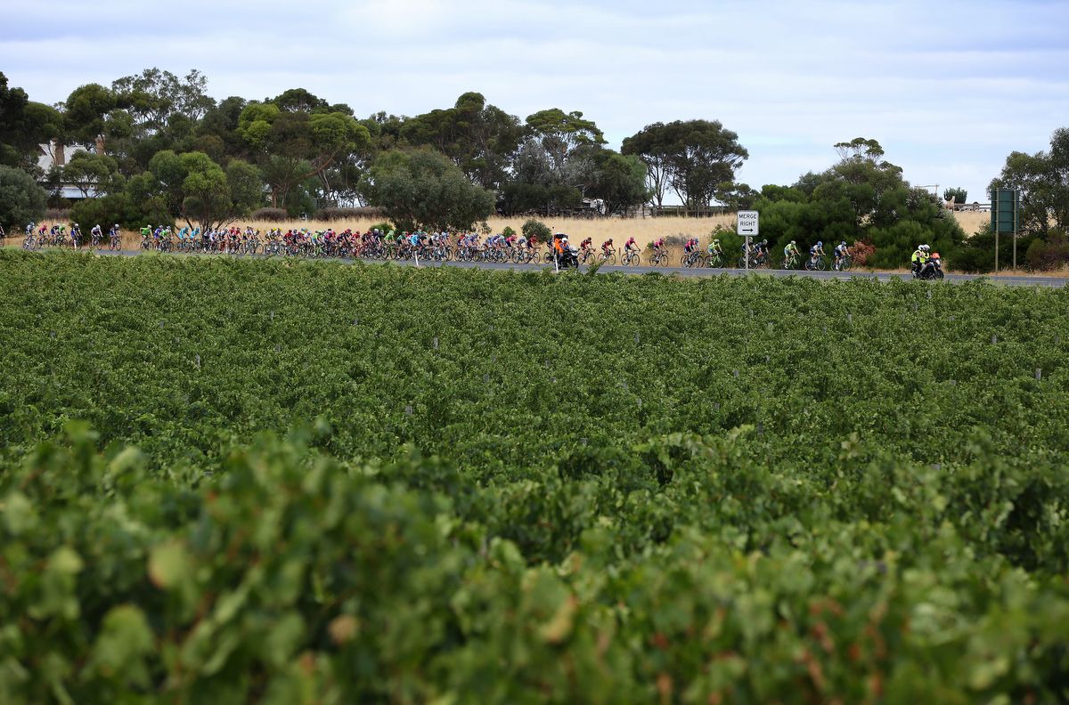 Wineries are a common sight during the Australian summer of racing