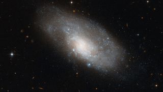 NGC 4980 Spiral Galaxy