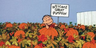 Charlie Brown Pumpkin