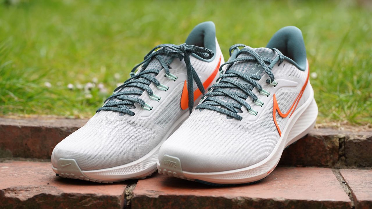 Nike Air Zoom Pegasus 39 review