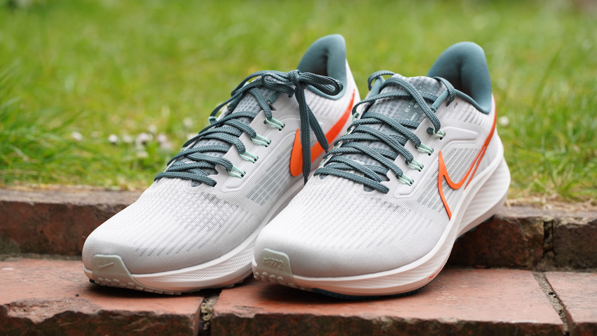 Nike Air Zoom Pegasus 39 review In Peg We Trust T3