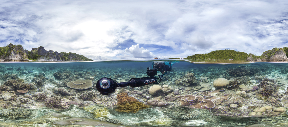 Google Maps, Caitlin Seaview Survey
