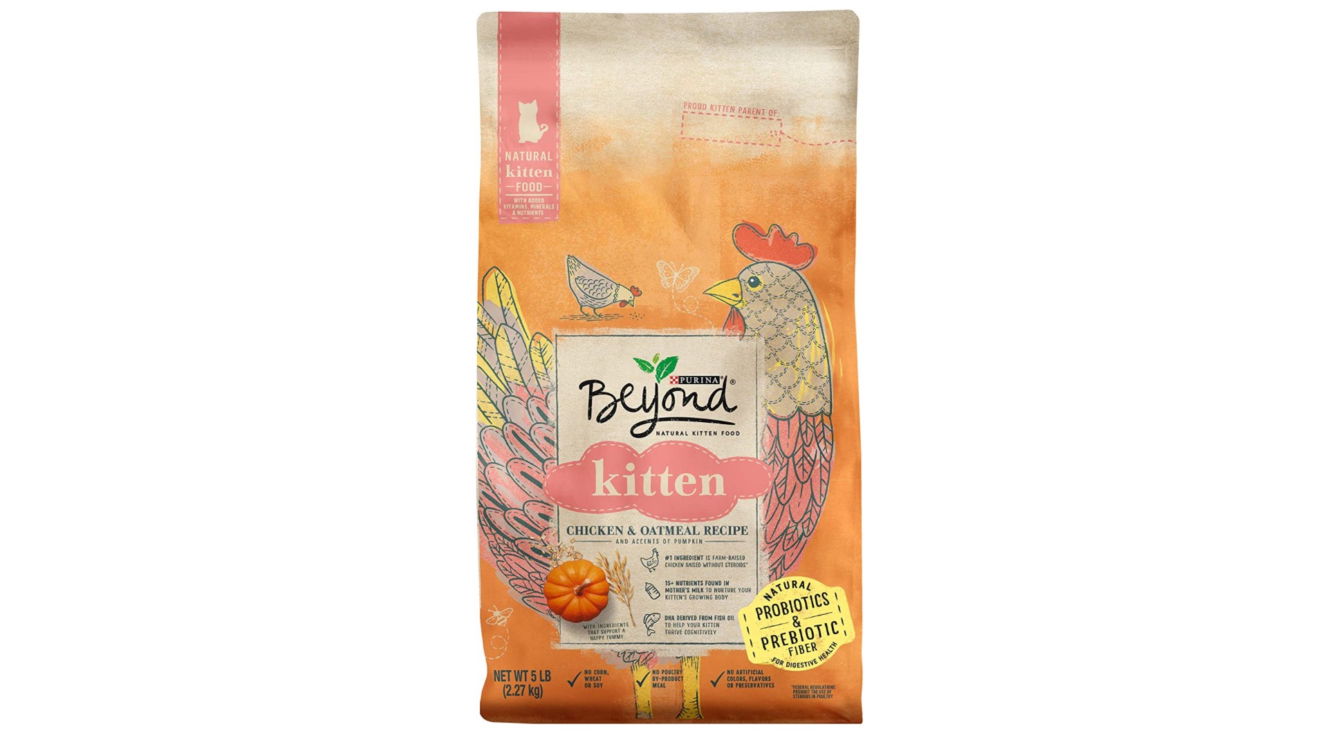 Best kitten food 2024 for healthy kitty nutrition and growth | PetsRadar