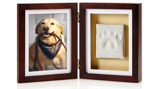 Pearhead Pet Pawprints Desk Picture Frame and Imprint Kit