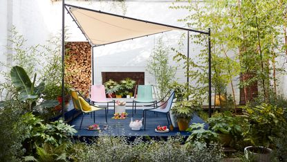 foliage plant: decked courtyard and shade sail